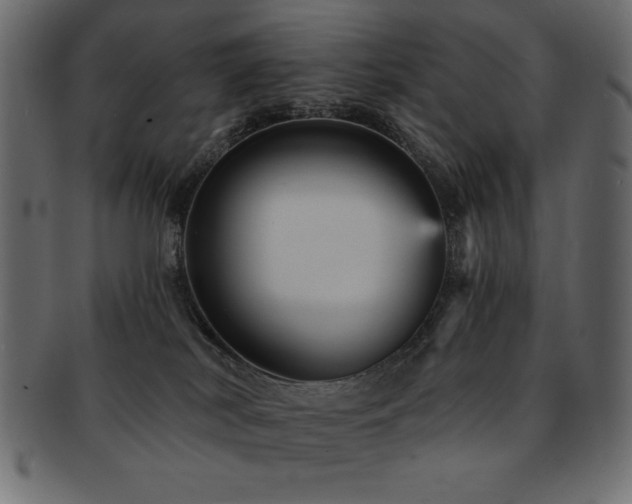 X0000093130038200709261357