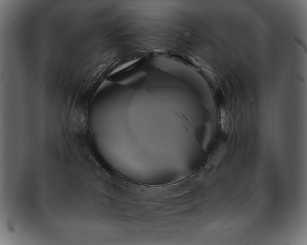 X0000093130039200709261357