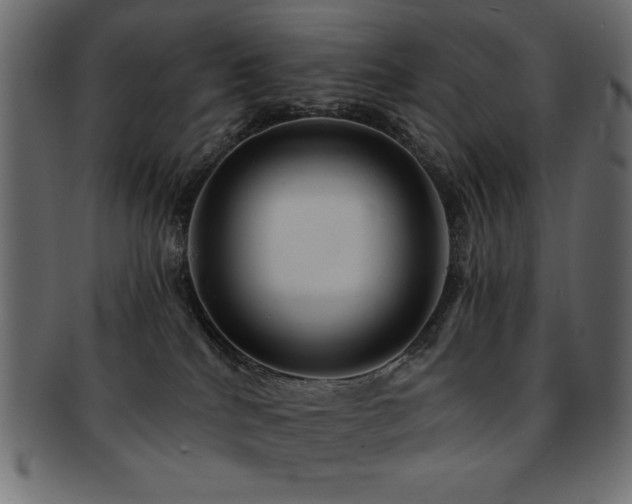 X0000093130040200709261357