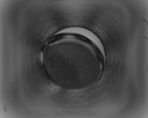 X0000093130041200709261357
