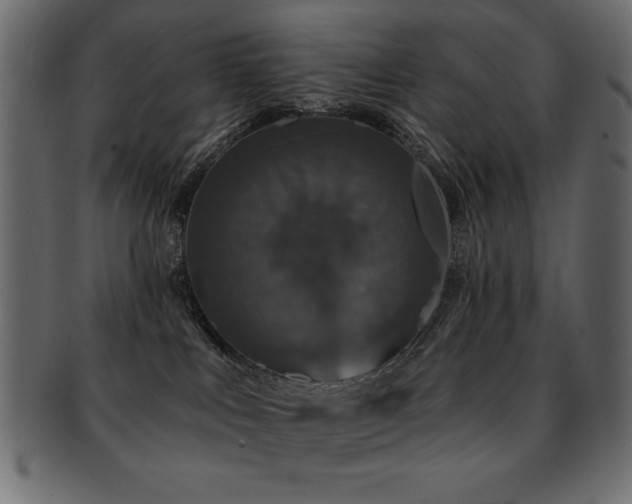 X0000093130043200709261357