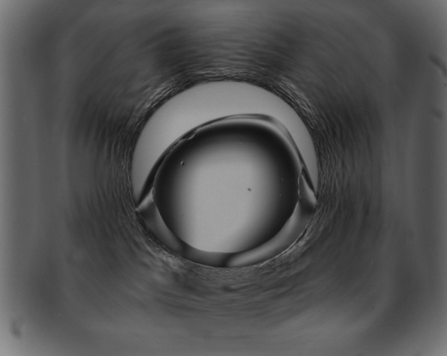 X0000093130045200709261357
