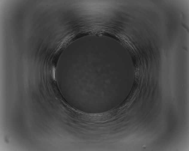 X0000093130046200709261357