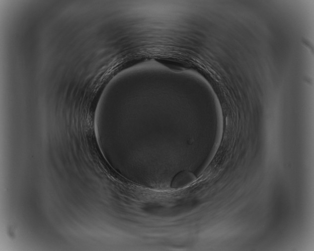 X0000093130048200709261357