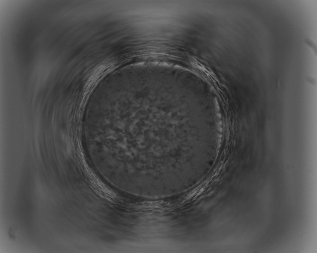 X0000093130049200709261356
