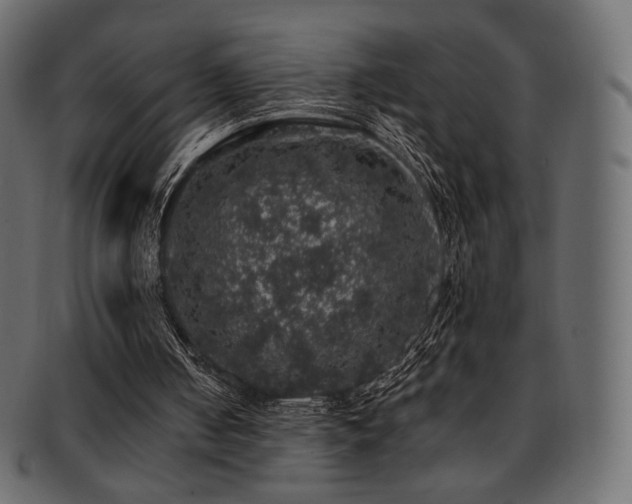 X0000093130050200709261356
