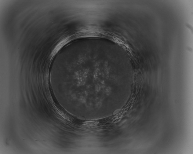 X0000093130051200709261356