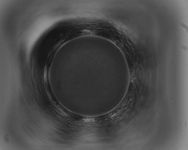 X0000093130052200709261356