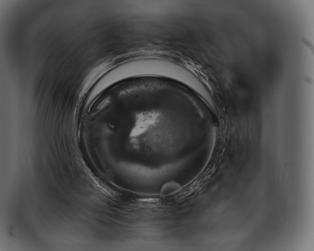X0000093130053200709261356