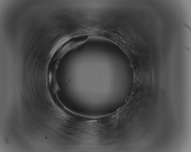 X0000093130054200709261356