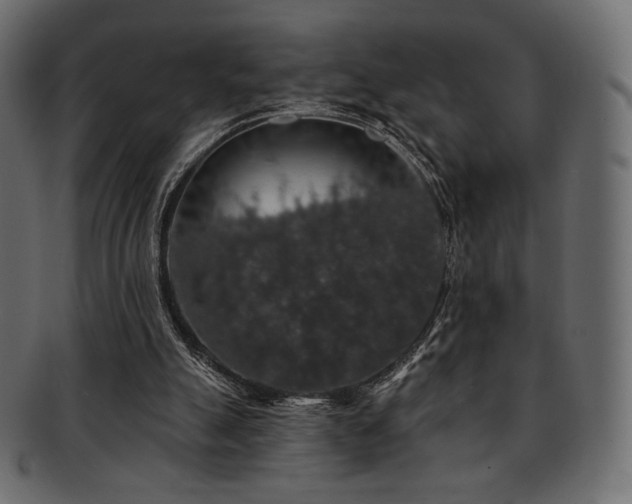 X0000093130055200709261356