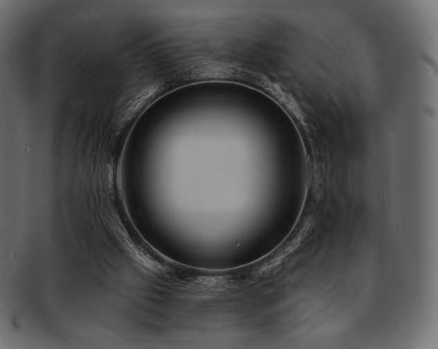 X0000093130057200709261356