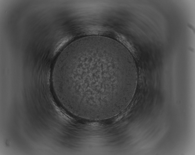 X0000093130058200709261356
