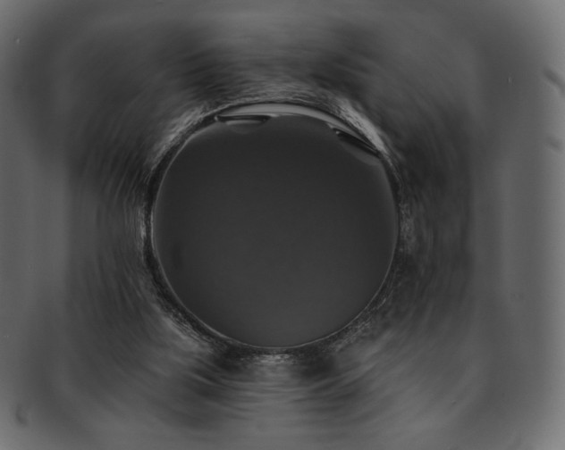 X0000093130059200709261356
