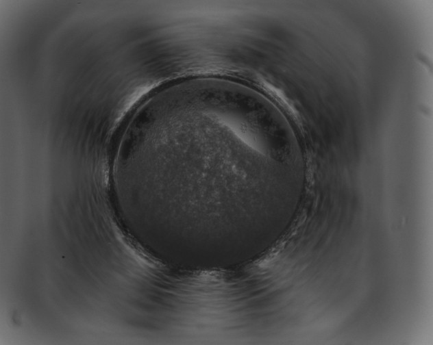 X0000093130060200709261356