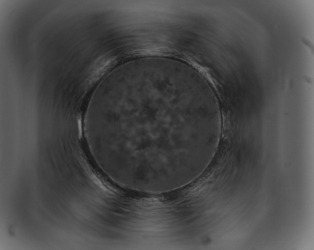 X0000093130061200709261356