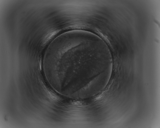 X0000093130062200709261356