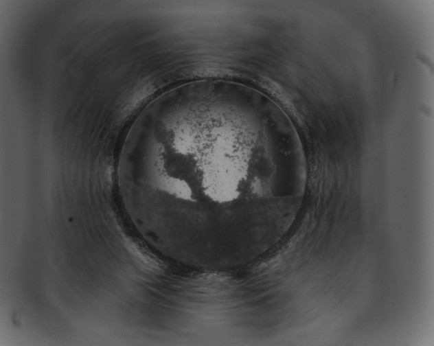 X0000093130063200709261357