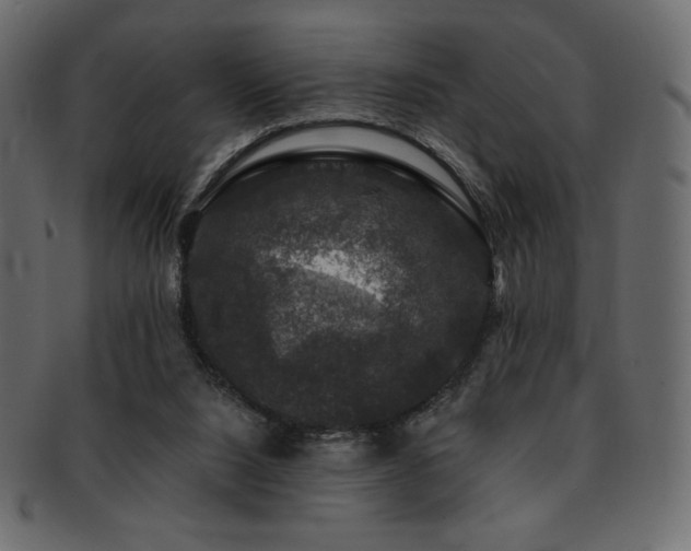 X0000093130064200709261357