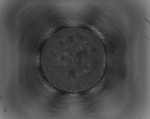 X0000093130065200709261357