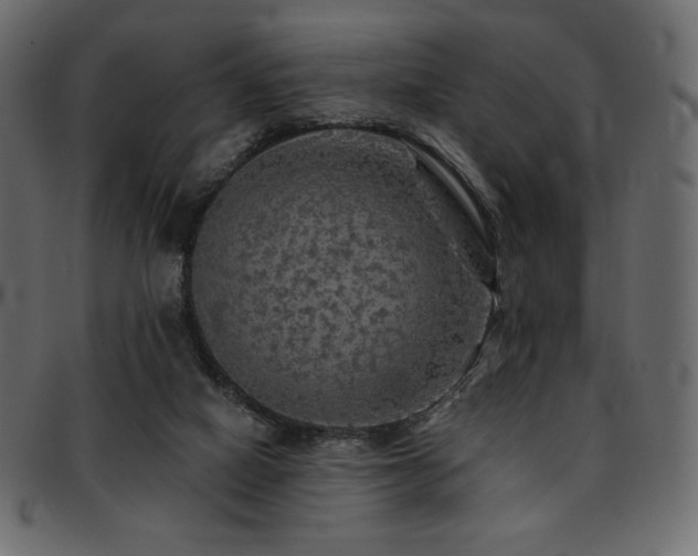 X0000093130066200709261357
