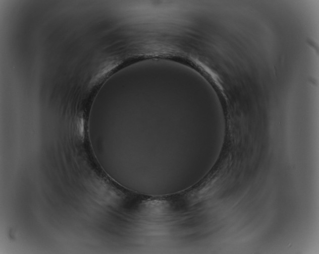 X0000093130067200709261357