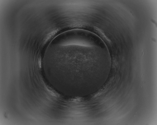X0000093130068200709261357