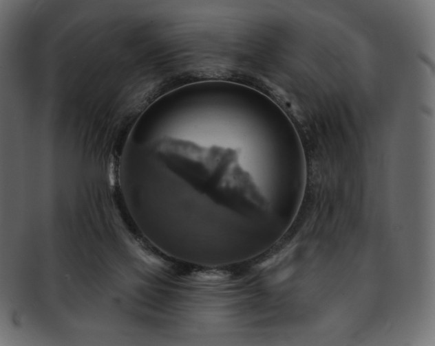 X0000093130069200709261357