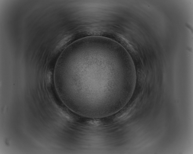 X0000093130071200709261357