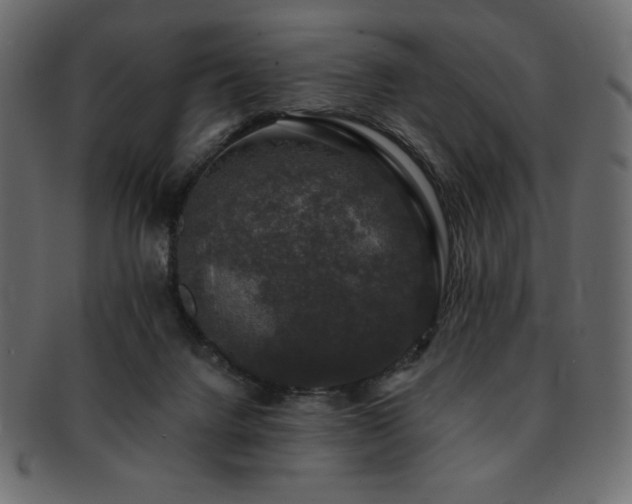 X0000093130072200709261357