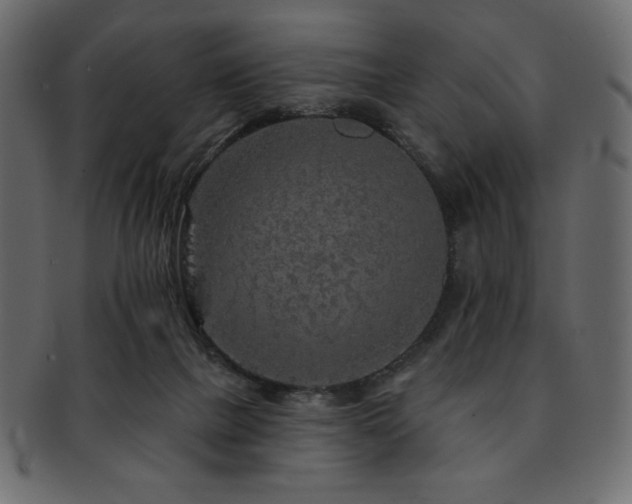 X0000093130073200709261357