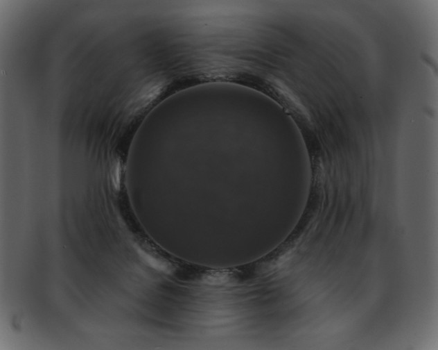 X0000093130076200709261357