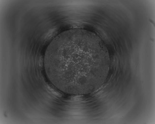 X0000093130078200709261357