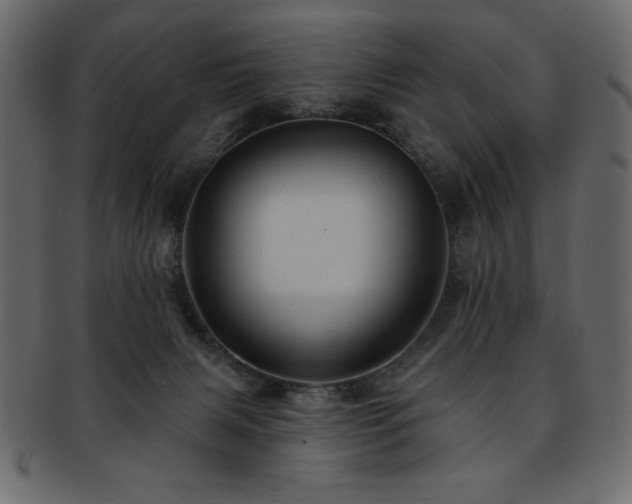X0000093130079200709261357