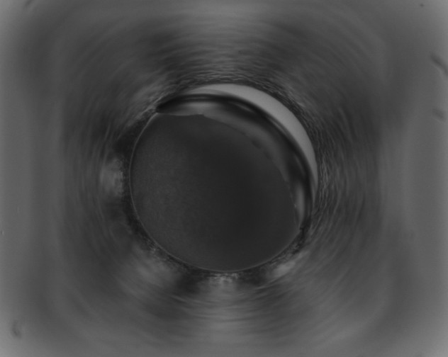 X0000093130080200709261357