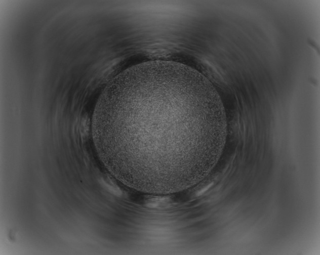 X0000093130081200709261357