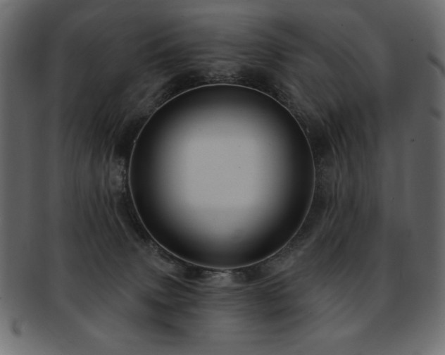 X0000093130083200709261357