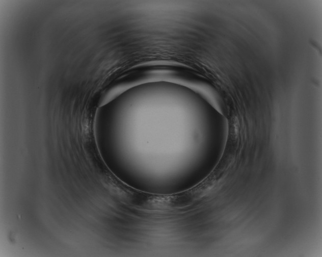 X0000093130084200709261357