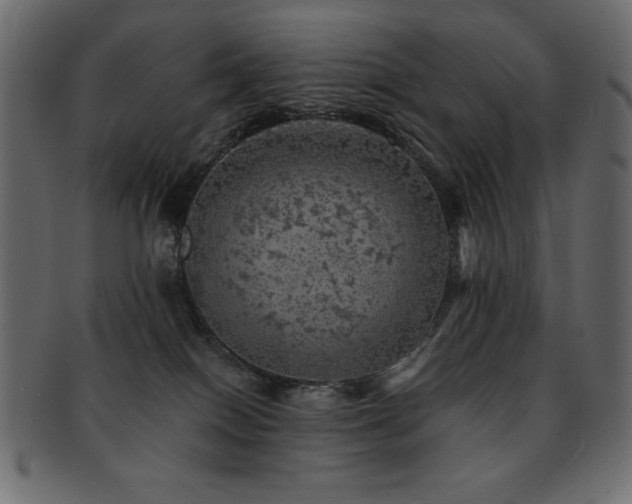 X0000093130086200709261357