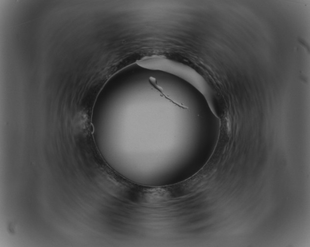 X0000093130087200709261357