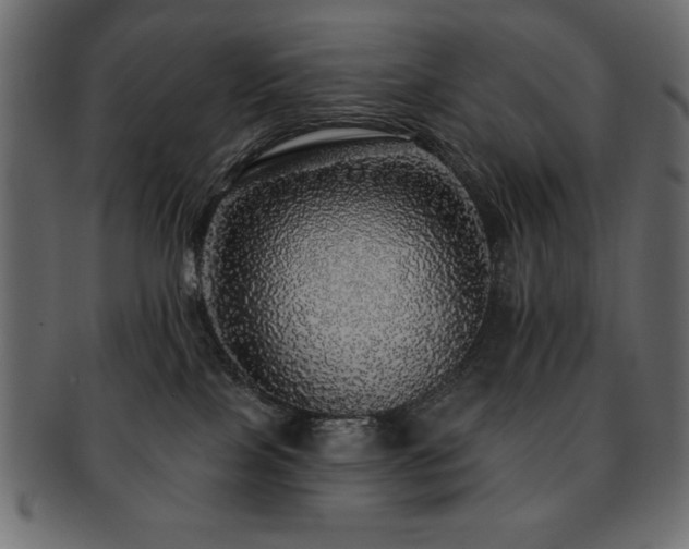 X0000093130089200709261357