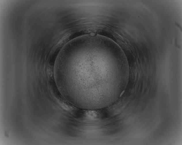X0000093130091200709261357