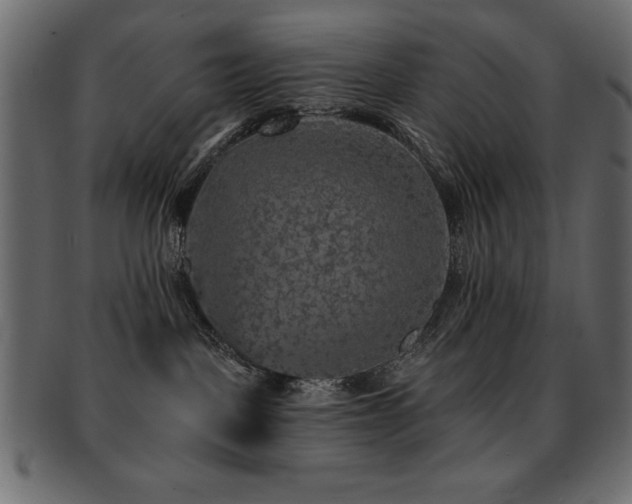 X0000093130093200709261357