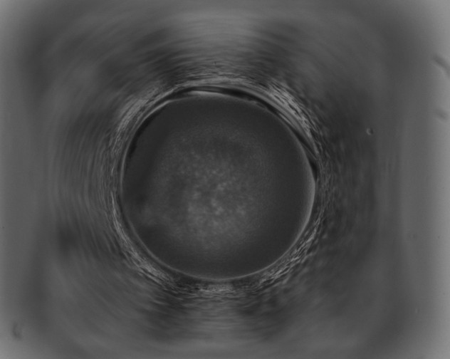 X0000093130097200709261356