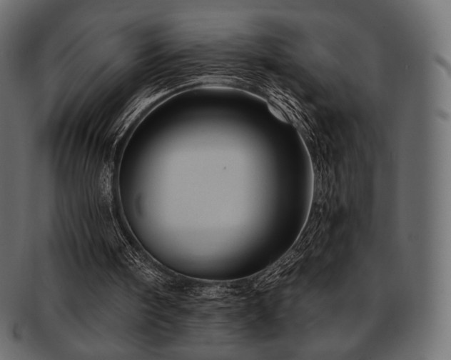 X0000093130098200709261356
