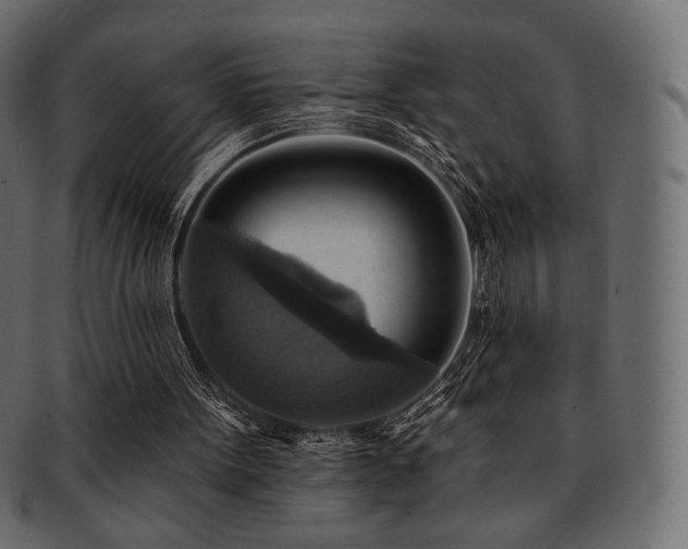 X0000093130099200709261356