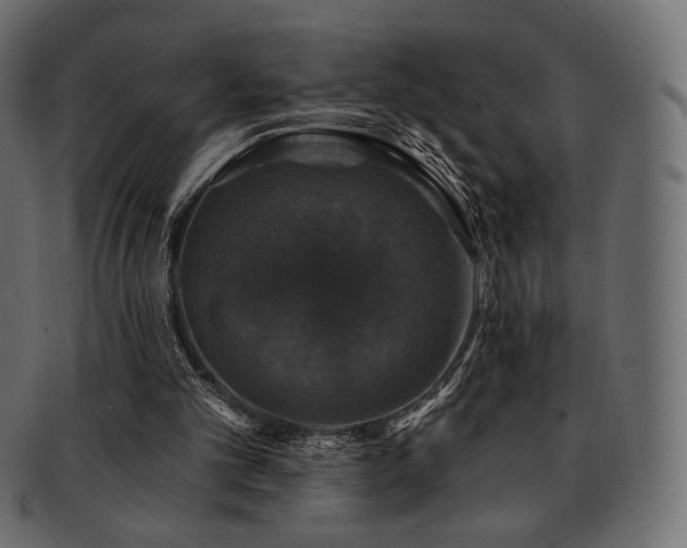 X0000093130101200709261356