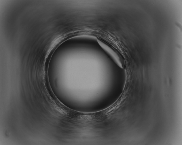 X0000093130102200709261356