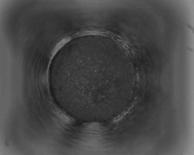 X0000093130104200709261356