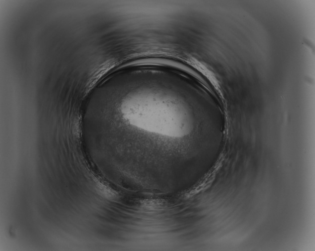 X0000093130105200709261356